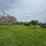 Satılır Torpaq İsmayıllı 4