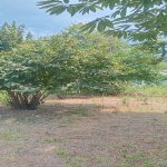 Продажа Участок Гябяля 2