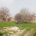 Satılır Torpaq, Fatmayi, Abşeron rayonu 3
