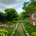 Kirayə (günlük) 5 otaqlı Həyət evi/villa Qəbələ 10
