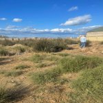 Satılır Torpaq, Novxanı, Abşeron rayonu 4