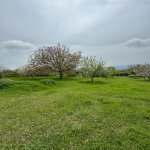 Satılır Torpaq İsmayıllı 8