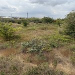 Продажа Участок, Новханы, Абшерон район 8