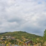 Satılır 5 otaqlı Bağ evi Quba 47