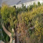 Satılır 6 otaqlı Həyət evi/villa, Bakıxanov qəs., Sabunçu rayonu 15