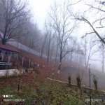 Kirayə (günlük) 3 otaqlı Bağ evi Qəbələ 6
