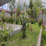 Kirayə (günlük) 6 otaqlı Bağ evi Qəbələ 9