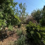 Продажа Участок, м. Ахмедли метро, пос. Старый Гуняшли, Хетаи район 9