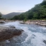 Kirayə (günlük) 3 otaqlı Bağ evi İsmayıllı 15