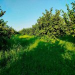 Satılır Torpaq Xaçmaz / Xudat 5