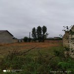 Satılır Torpaq Quba 4
