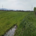 Продажа Участок Хачмаз 101