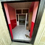 Kirayə (günlük) 4 otaqlı Bağ evi, Pirşağı qəs., Sabunçu rayonu 11