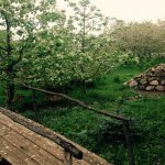 Kirayə (günlük) 3 otaqlı Həyət evi/villa Quba 8