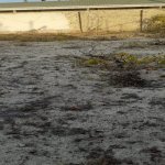 Satılır Torpaq, Novxanı, Abşeron rayonu 1