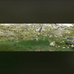Satılır Torpaq Xaçmaz 3