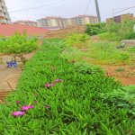 Satılır 6 otaqlı Həyət evi/villa, Hökməli, Abşeron rayonu 4