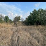 Satılır 3 otaqlı Həyət evi/villa Xızı 5