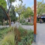 Kirayə (aylıq) 3 otaqlı Ofis, Sahil metrosu, Fəvvarələr meydanı, Səbail rayonu 10