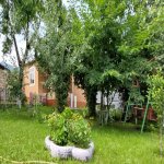 Kirayə (günlük) 2 otaqlı Həyət evi/villa Qəbələ 3