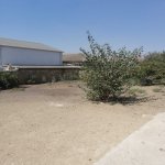 Satılır Torpaq, Abşeron rayonu 4