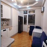 Kirayə (aylıq) 3 otaqlı Yeni Tikili, Neftçilər metrosu, Nizami rayonu 14