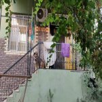 Satılır 5 otaqlı Həyət evi/villa, Binə qəs., Xəzər rayonu 22