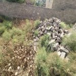 Продажа Участок, пос. Савалан, Сабунчу район 11