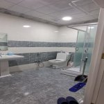 Kirayə (aylıq) 2 otaqlı Yeni Tikili, Sumqayıt Bulvarı rayonu 6