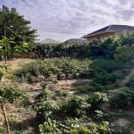 Satılır 4 otaqlı Həyət evi/villa Sumqayıt 10