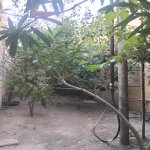 Satılır 6 otaqlı Həyət evi/villa Şamaxı 10