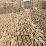 Satılır Torpaq, Nardaran qəs., Sabunçu rayonu 3