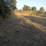 Продажа Участок Гябяля 4