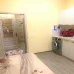 Kirayə (aylıq) 2 otaqlı Yeni Tikili, Bayıl qəs., Səbail rayonu 8