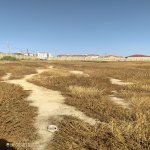 Satılır Torpaq, Masazır, Abşeron rayonu 12