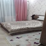 Kirayə (aylıq) 2 otaqlı Yeni Tikili, Su sonası ş/s, Nərimanov rayonu 3