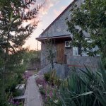 Kirayə (günlük) 6 otaqlı Həyət evi/villa Qəbələ 12