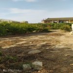 Satılır Torpaq, Fatmayi, Abşeron rayonu 9