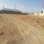 Satılır Torpaq, Saray, Abşeron rayonu 1