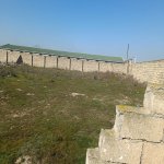 Satılır Torpaq, Buzovna, Xəzər rayonu 5
