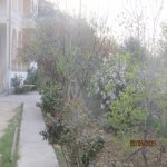 Satılır 8 otaqlı Həyət evi/villa, Bakıxanov qəs., Sabunçu rayonu 44