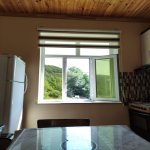 Kirayə (günlük) 4 otaqlı Həyət evi/villa Lerik 10