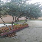 Satılır 3 otaqlı Həyət evi/villa, Novxanı, Abşeron rayonu 4