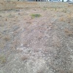 Продажа Участок, пос. Бадамдар, Сябаиль район 2