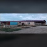 Satılır Obyekt Şəmkir 2