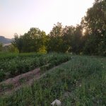 Satılır Torpaq Şamaxı 7