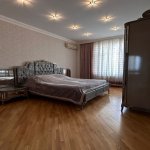 Kirayə (aylıq) 3 otaqlı Yeni Tikili, Nizami metrosu, Nəsimi rayonu 11