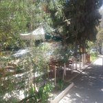 Kirayə (aylıq) Obyekt, Bakıxanov qəs., Sabunçu rayonu 5