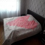 Kirayə (aylıq) 2 otaqlı Yeni Tikili, Nəriman Nərimanov metrosu, Nərimanov rayonu 10