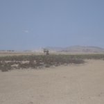 Satılır Torpaq, Ələt qəs., Sahil bağı, Qaradağ rayonu 13